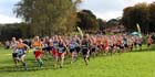 Start of the senior mens North East Harrier League, Blaydon. Photo: David T. Hewitson/Sports for All Pics
